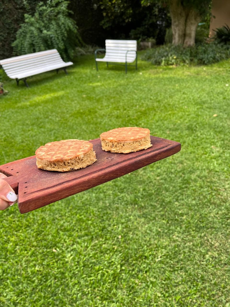 Pan de Quinoa Sandwich (Sin tacc) 